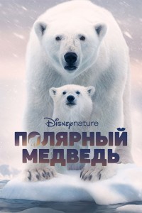 Полярный медведь