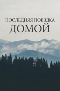 Последняя поездка домой